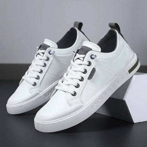 Calvero Street Sneaker